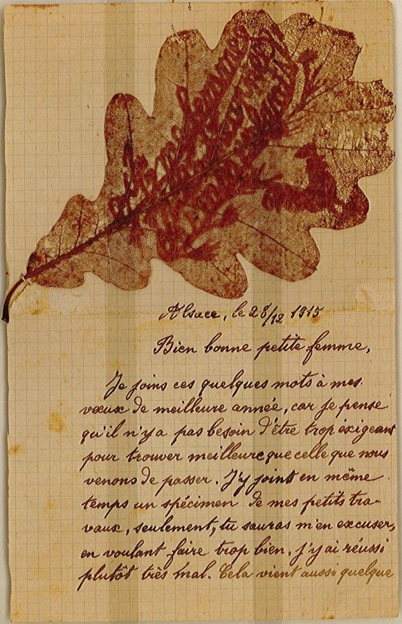 Lettre associée à une feuille de chêne [5Z]