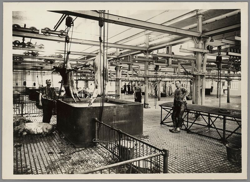 Abattoirs et marché aux bestiaux de la Mouche (photographie), 1929 - Archives Municipales de Lyon - 1108WP/4 